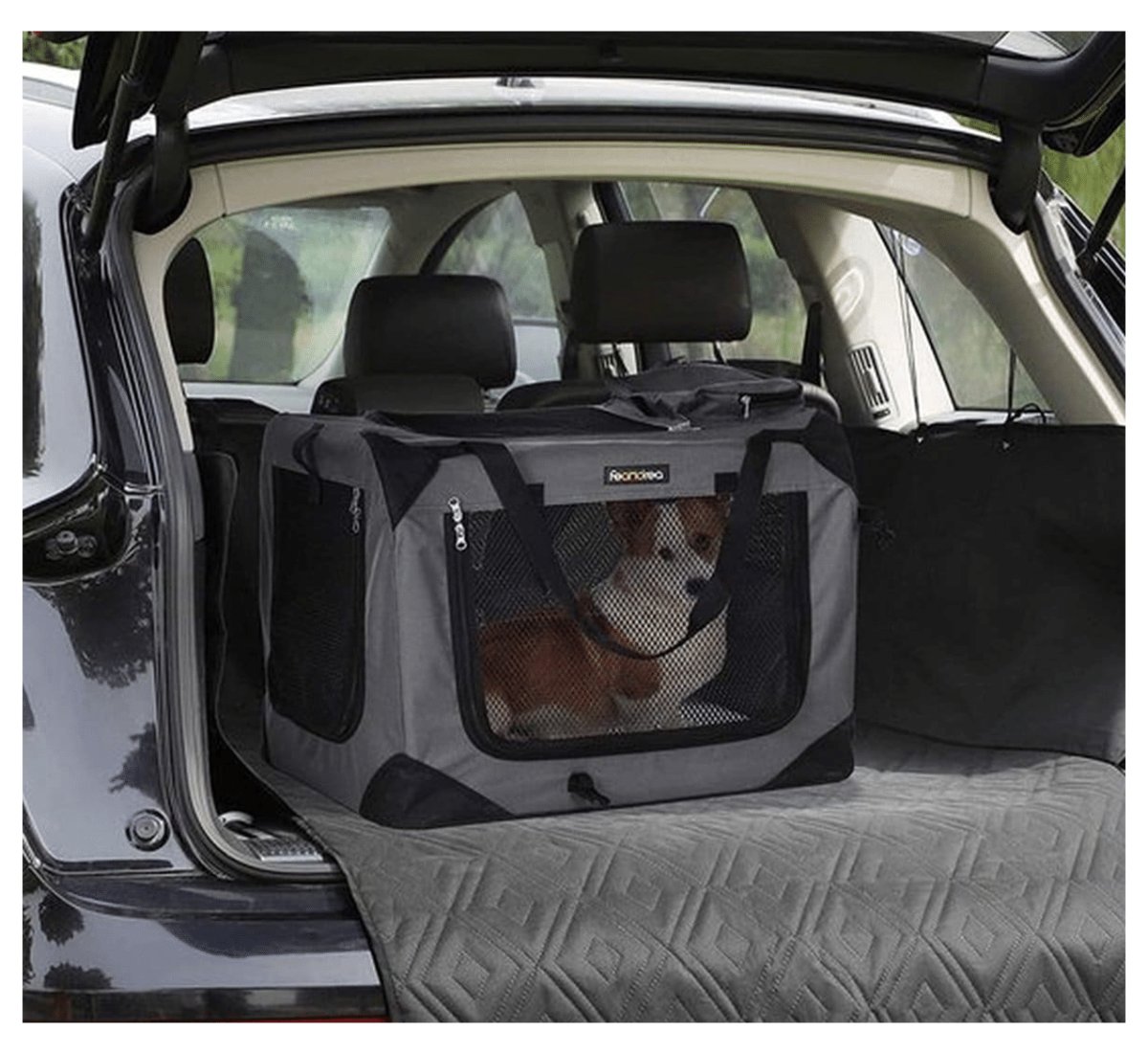 vervoer van hond of kat met tas in auto